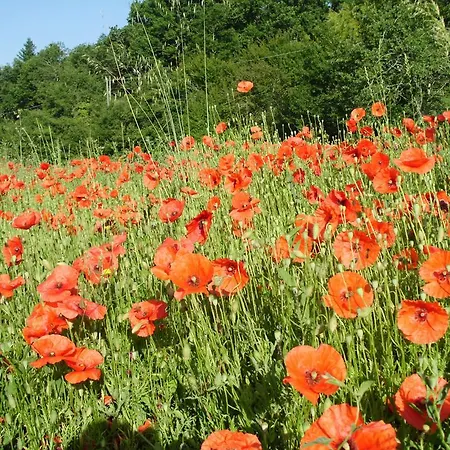 Ca Rossano مزرعة للإقامة *